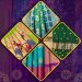 Navratri Sarees: Exploring Colors, Styles, and Trends